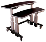 Dual Tier Cart DT6036 - black - gray molding